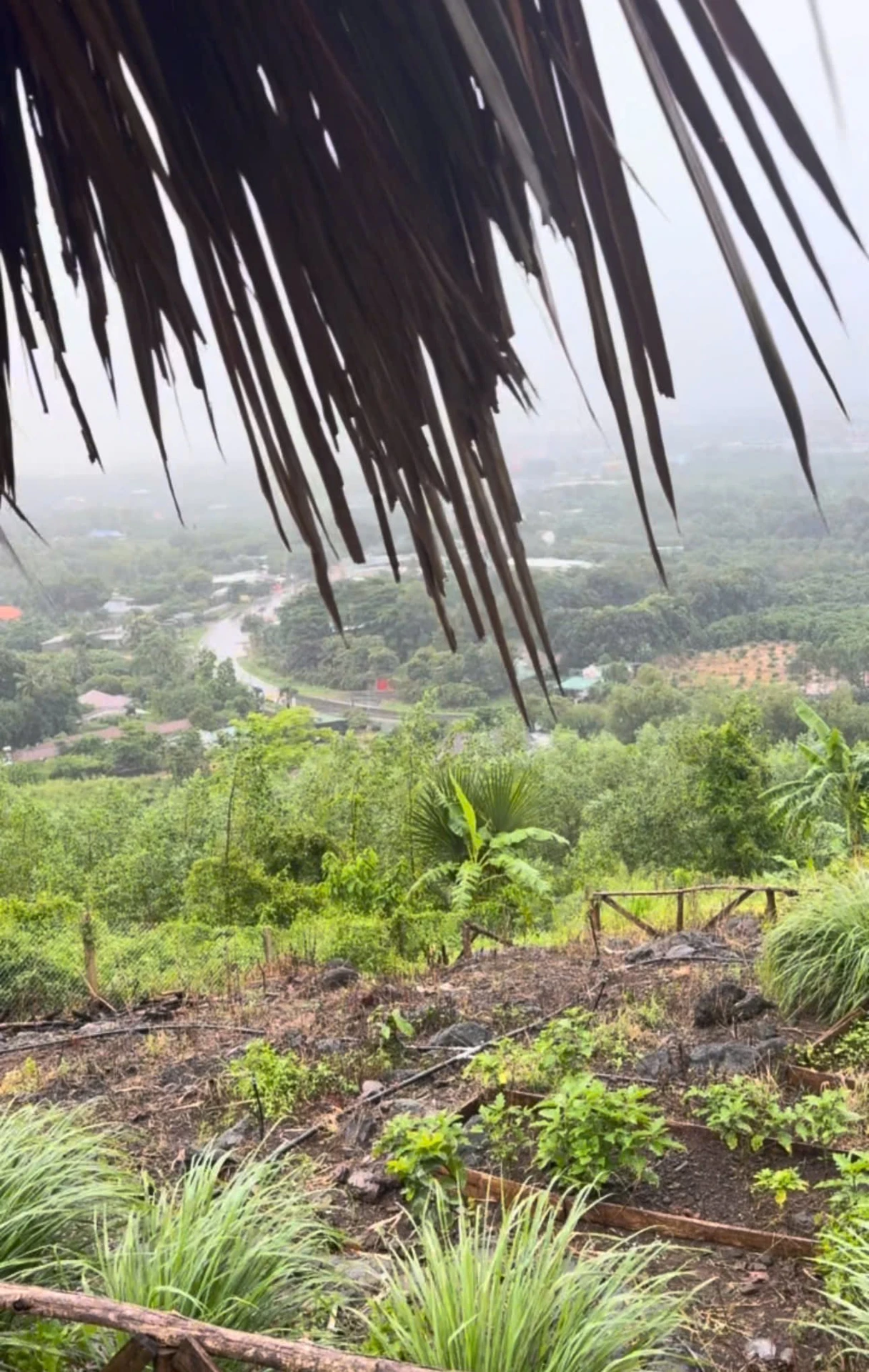Bán đất vườn 1000m² La Ngà 575 triệu view sông - Ảnh 1