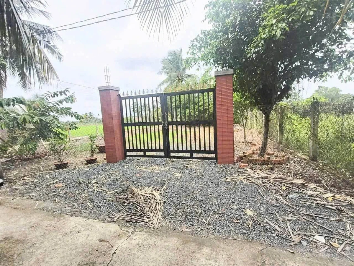 Bán 302m đất thổ cư 2 mặt tiền An Thạnh Bến Lức - Ảnh thu nhỏ 3
