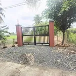 Bán 302m đất thổ cư 2 mặt tiền An Thạnh Bến Lức - Ảnh thu nhỏ 3
