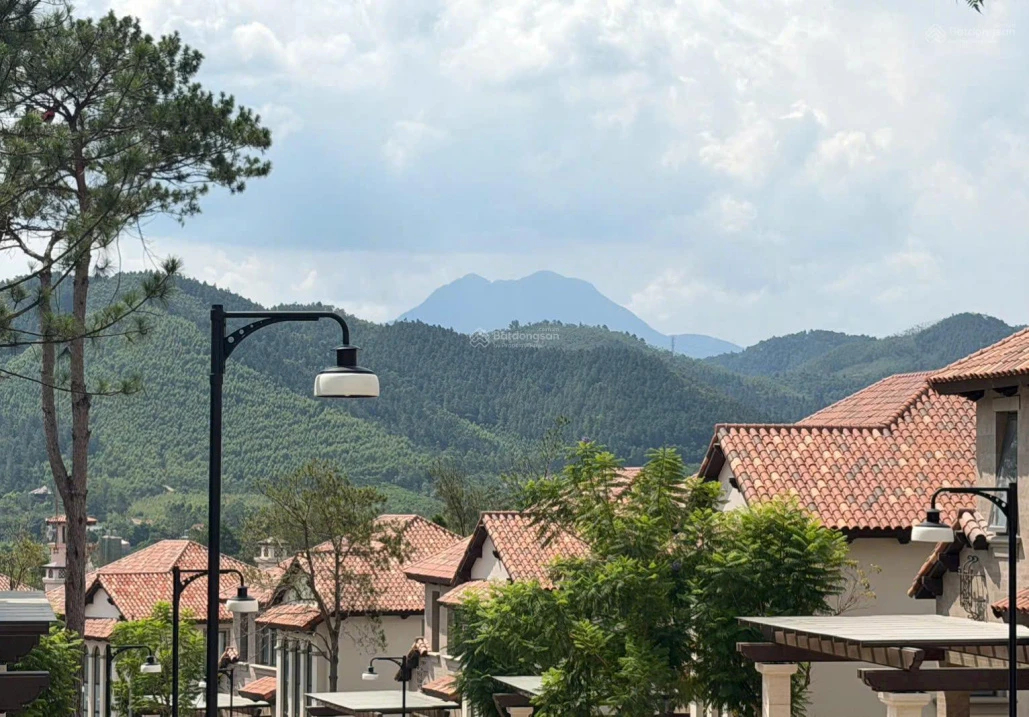 Bán đứt căn biệt thự đơn lập cao Valley Park - Thanh Xuân Valley giá 78tr/m2 - Ảnh thu nhỏ 3