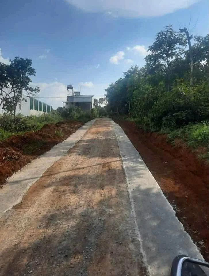 Bán đất Cần Giờ 350 triệu - Ảnh 1