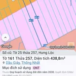 Bán đất sổ riêng mặt tiền QL1A Dầu Giây 419m2, 5,25 tỷ - Ảnh thu nhỏ 2