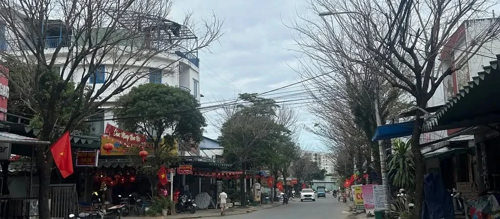 Bán lô đất kiệt 5m Trường Chinh 87m² 4.5 tỷ - Ảnh thu nhỏ 2