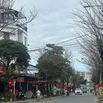 Bán lô đất kiệt 5m Trường Chinh 87m² 4.5 tỷ - Ảnh thu nhỏ 2