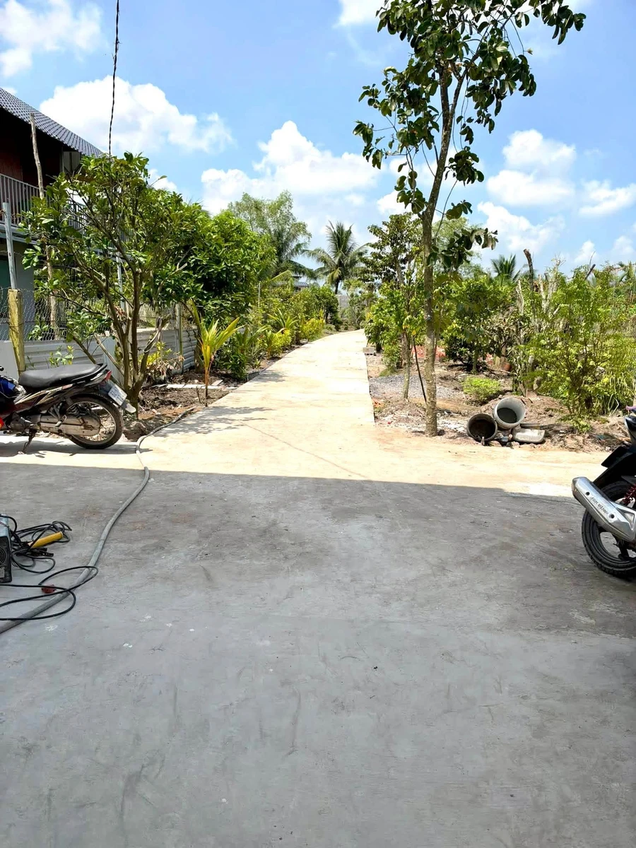 Nhà vườn 775m² có 150m² thổ cư Bình Đức Bến Lức - Ảnh thu nhỏ 4