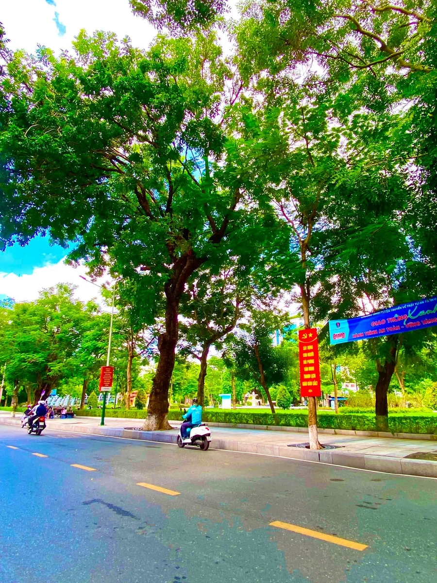 Bán nhà mặt đường Trần Phú 50m 5 tầng view công viên, 18 tỷ - Ảnh thu nhỏ 2