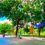 Bán nhà mặt đường Trần Phú 50m 5 tầng view công viên, 18 tỷ - Ảnh thu nhỏ 2