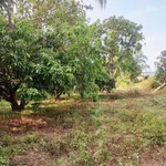 Bán đất 200m² kp Đại Thiện, Bình Thuận - Ảnh thu nhỏ 1