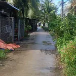 Bán đất 738m2 có 300m2 thổ cư gần KCN Giao Long - 2,6 tỷ - Ảnh thu nhỏ 3