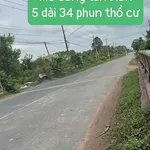 Bán đất thổ cư 170m² Mỏ công Tây Ninh 119 triệu - Ảnh thu nhỏ 1