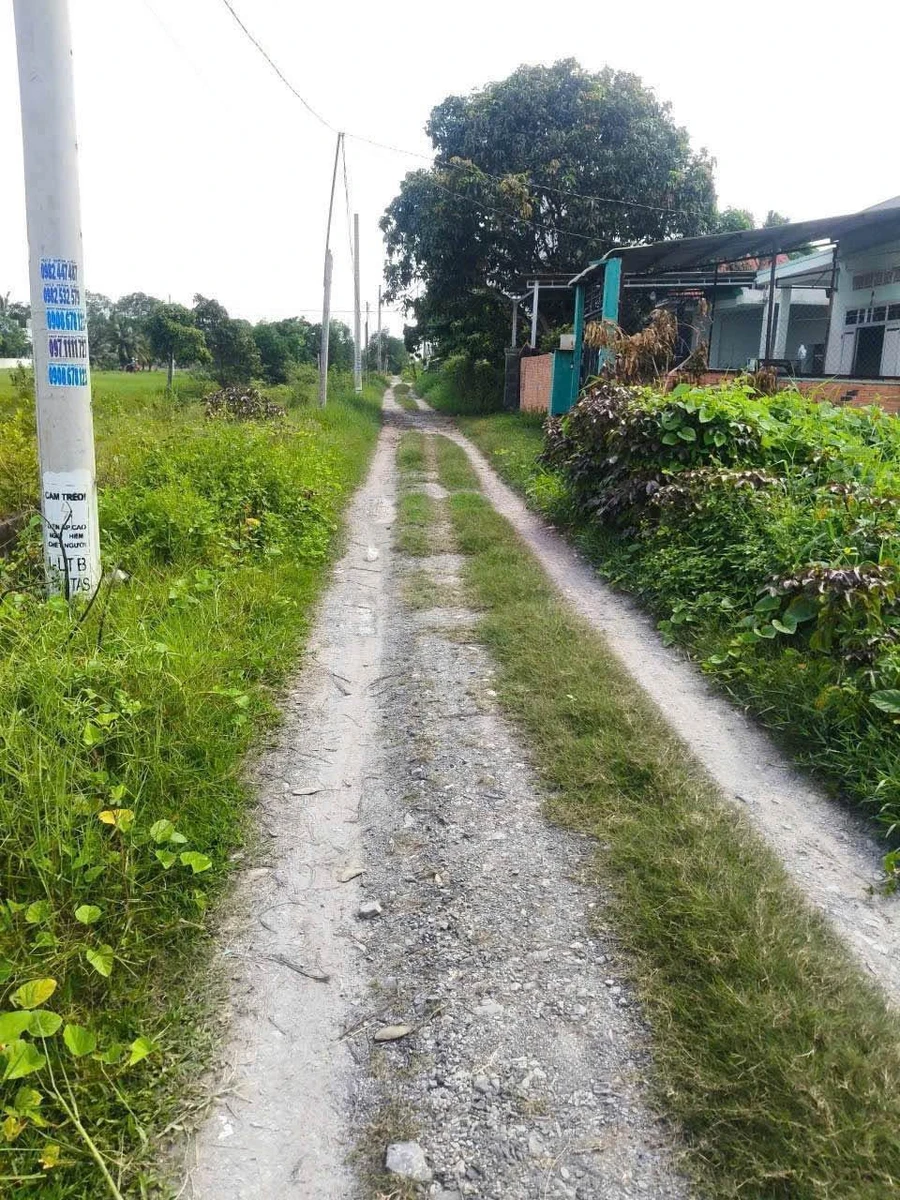 Bán 1760m2 đất vườn xã Mỹ Hạnh, cách TL824 200m, sổ hồng riêng, giá 4,4 tỷ - Ảnh 1