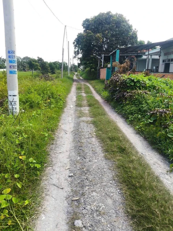 Bán 1760m2 đất vườn xã Mỹ Hạnh, cách TL824 200m, sổ hồng riêng, giá 4,4 tỷ