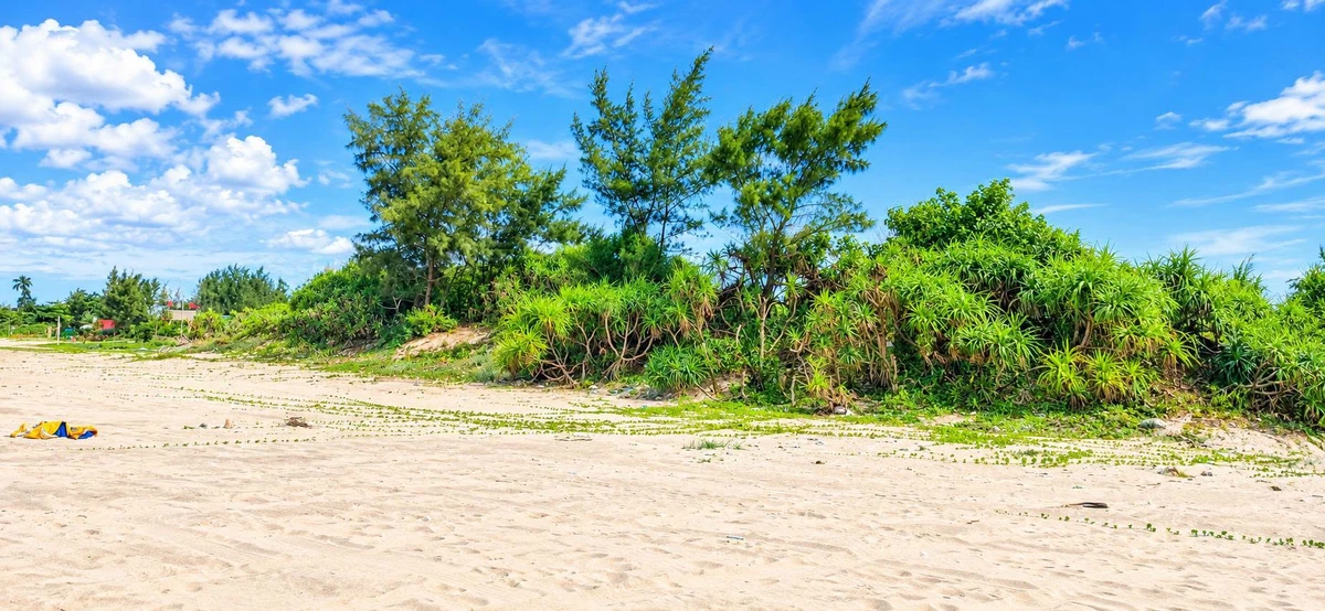 Bán homestay 390m² đất ở Châu Tân, Quảng Ngãi gần biển - Ảnh 1