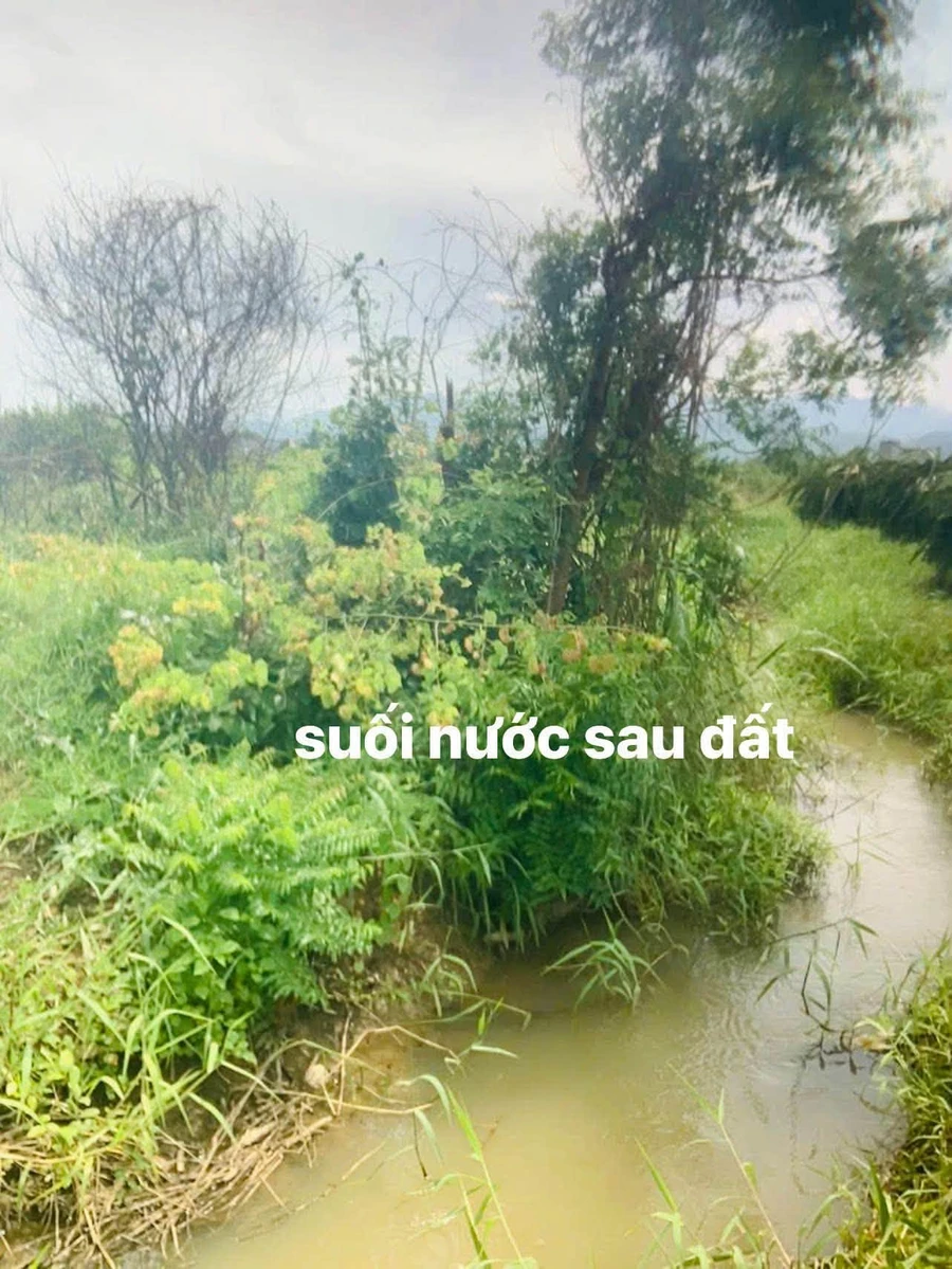 Bán đất 2600m² 2 mặt tiền Hàm Liêm, Lâm Đồng - Ảnh thu nhỏ 3