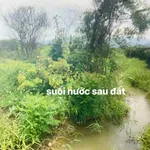 Bán đất 2600m² 2 mặt tiền Hàm Liêm, Lâm Đồng - Ảnh thu nhỏ 3