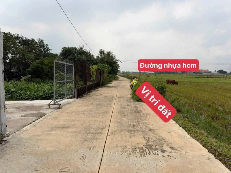 Bán đất thổ cư Hòa Long 450m² 1,9 tỷ