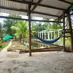 Bán đất 532m² Mỏ Cày, Bình Chánh, 900 triệu - Ảnh thu nhỏ 4