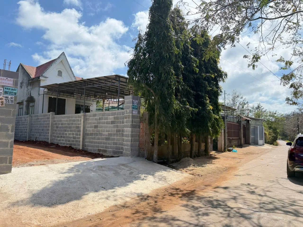 Bán đất hẻm Mai Thị Lựu 390m² gần ngã 6, Quận 12 - Ảnh thu nhỏ 2