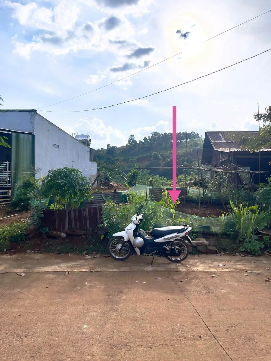 Bán đất Dương Đình Nghệ Nam Gia Nghĩa 150m² 750 triệu - Ảnh thu nhỏ 3