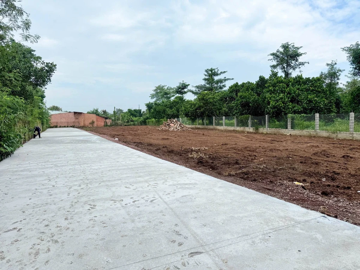 Bán nền đất thổ cư sổ riêng 100m² Quận 12 - Ảnh thu nhỏ 2