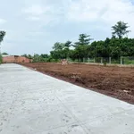 Bán nền đất thổ cư sổ riêng 100m² Quận 12 - Ảnh thu nhỏ 2