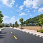 Bán lô đất 90m2 mặt tiền Trần Nhân Tông, Kiến An - Ảnh thu nhỏ 3