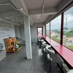 Cho thuê toà nhà 6 tầng 1000m2 gần ĐH Tây Nguyên, 30 triệu/tháng - Ảnh thu nhỏ 5
