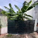 Bán lô đất 88m2 thổ cư, 3 tỷ 650 triệu ở TP.HCM - Ảnh thu nhỏ 3
