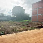 Bán đất thổ cư 100% 5x24m (120m²) Bình Chánh 3 tỷ 50 - Ảnh thu nhỏ 2