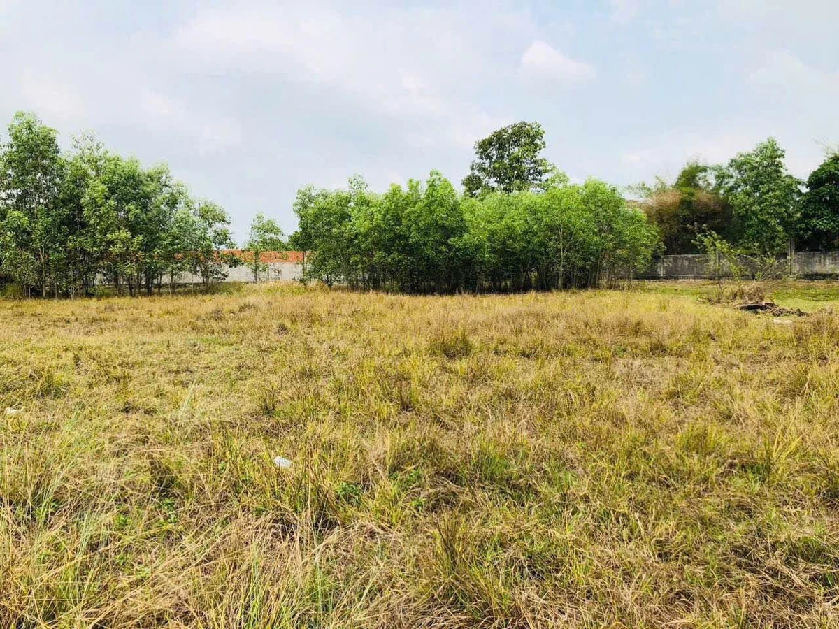 Bán đất 5600m2 tại Hậu Nghĩa 16 tỷ - Ảnh thu nhỏ 3