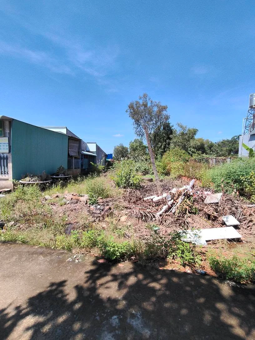 Bán đất chợ Cầu 2, Hóc Môn, 583m², 1 tỉ 180 triệu - Ảnh thu nhỏ 3