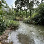 Bán đất 5 sào view suối Hoà Thắng, Tân Lập - Ảnh thu nhỏ 1