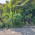 Bán đất kdc An Tây A Bến Cát 100m2 1.1 tỷ - Ảnh thu nhỏ 2
