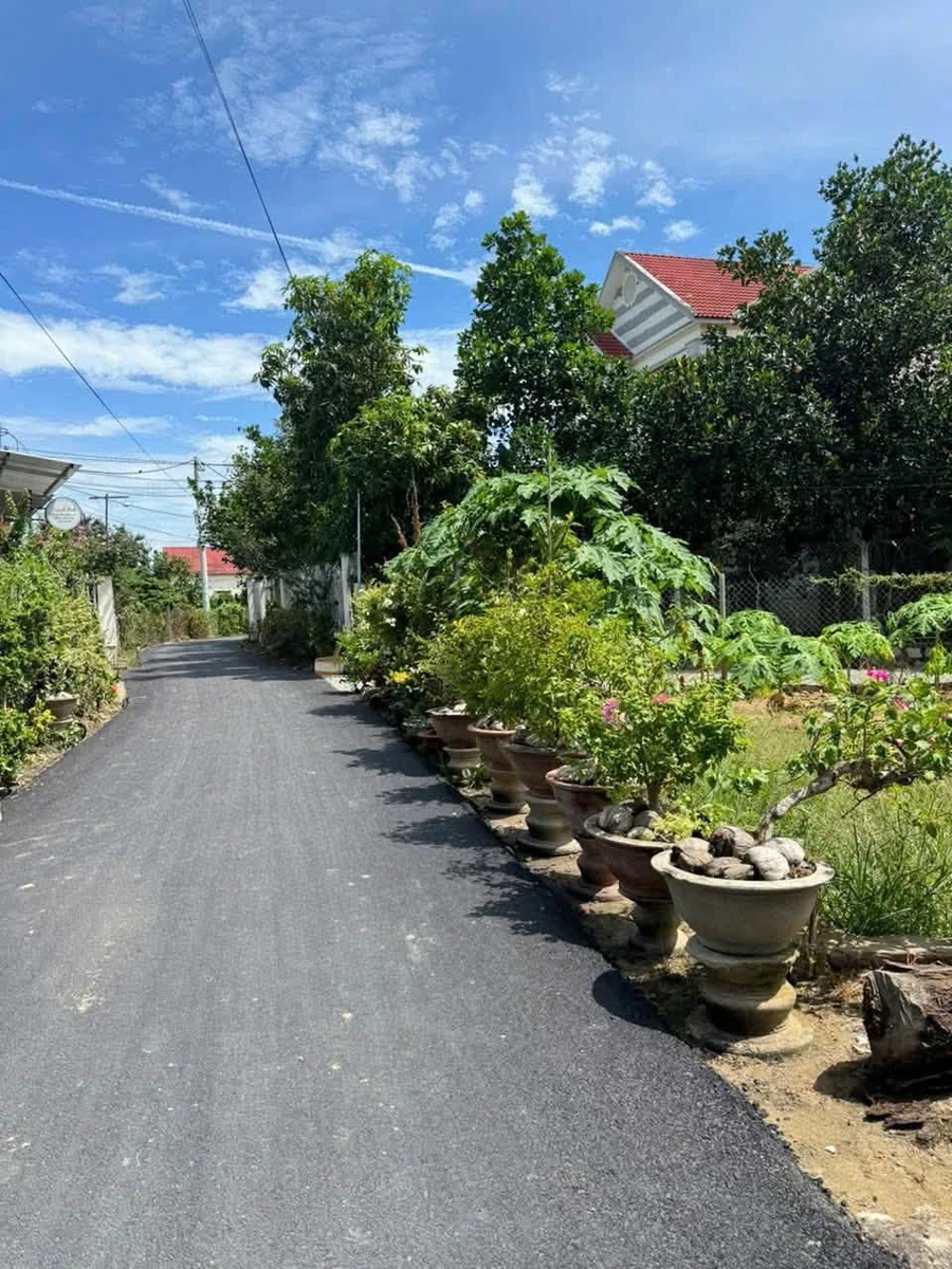 Bán đất Diên Toàn 118m² 1 tỷ 320 triệu - Ảnh thu nhỏ 3
