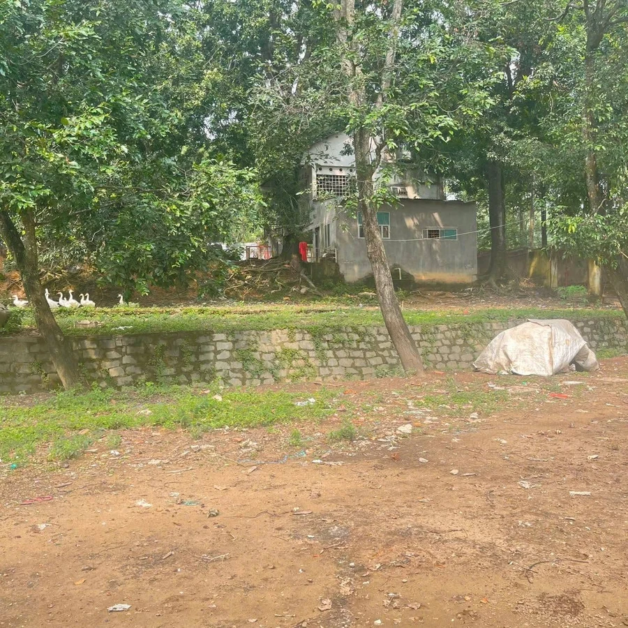 Bán nhà vườn 8.490 m² Hố Nai 15 tỷ - Ảnh thu nhỏ 2