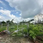 Bán đất 13,5x35m thổ cư An Ninh Long An 1 tỷ 200 triệu - Ảnh thu nhỏ 3