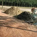 Bán đất thổ cư 50m2 giá 250 triệu tại Đồng Khởi, Châu Thành, Tây Ninh - Ảnh thu nhỏ 3