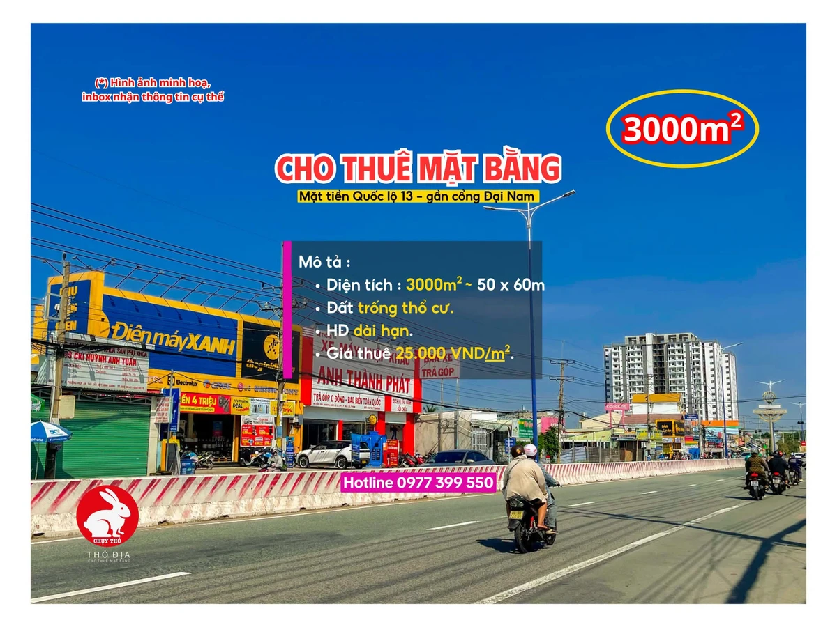 Cho thuê mặt bằng 3000m² Tân Định, Bình Dương - Ảnh 1