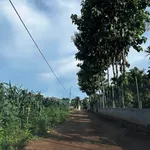 Bán 2 lô đất 5x30m xã Hòa Phú Quốc Lộ 14 - Ảnh thu nhỏ 2