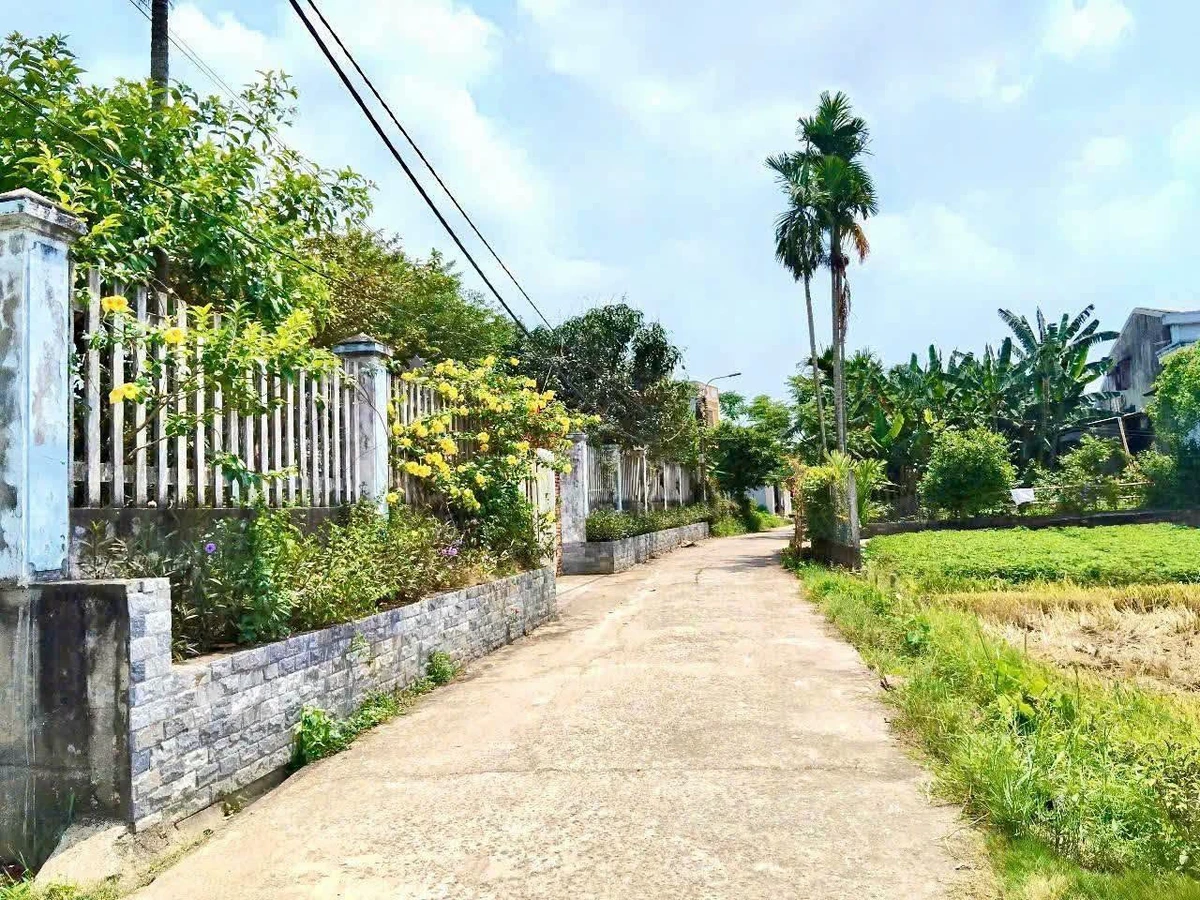 Bán đất Hòa Tiến Đà Nẵng 150m2 giá 1,1 tỷ - Ảnh thu nhỏ 3