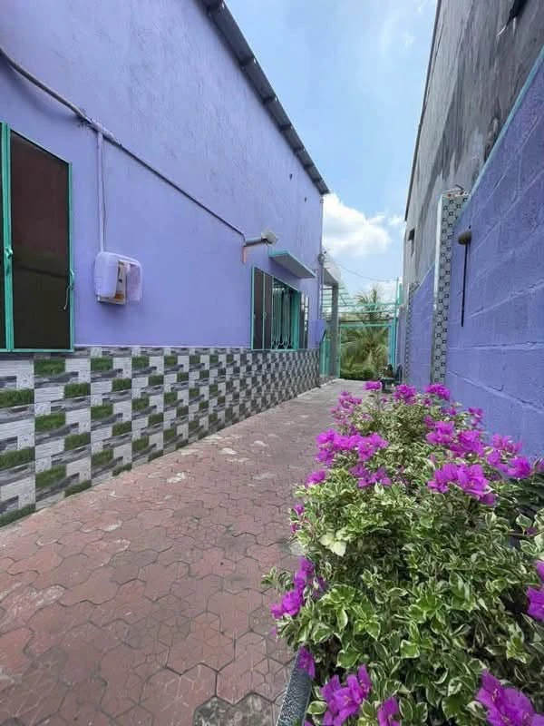 Bán đất thổ cư 228m2 ngang 8m gần chợ Bình Chánh tặng nhà cấp 4, giá 4,9 tỷ - Ảnh thu nhỏ 2