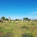 Bán đất 1250m² xây dựng hoàn toàn, cách Phan Thiết 4km - Ảnh thu nhỏ 5
