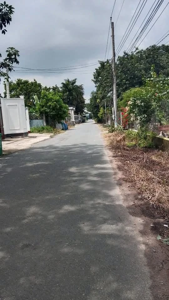 Bán đất Tân Bình 350m² giá 1 tỷ 3 - Ảnh thu nhỏ 2