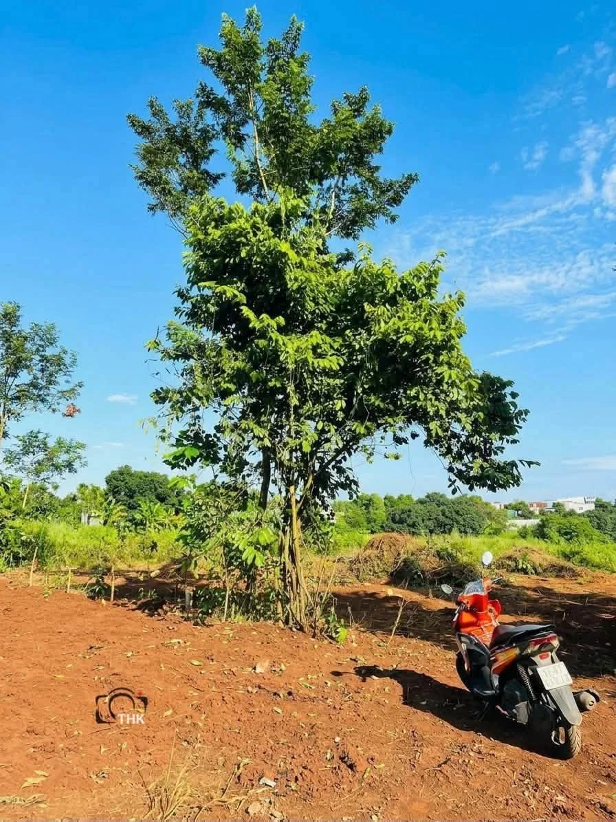 Bán đất 500m2 hẻm Phạm Ngũ Lão, Quận 1 - Ảnh thu nhỏ 2