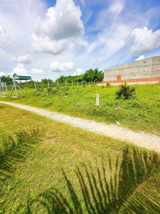 Đất phường Gò Dầu 5x27m full thổ cư 470tr, sổ hồng riêng đường ô tô thông - Ảnh thu nhỏ 3
