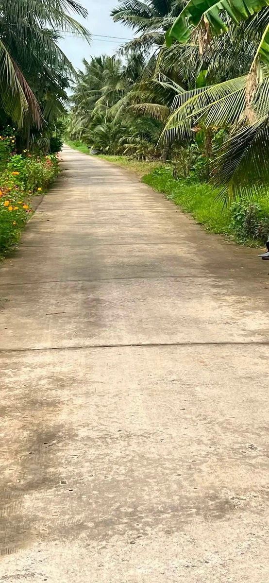 Bán đất nông thôn 4800m² tại xã Tân Xuân, Ba Tri, Bến Tre - Ảnh 1