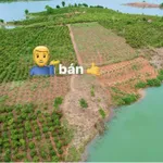 Bán đất xã Đăk Mar Quảng Ngãi giá tốt - Ảnh thu nhỏ 6