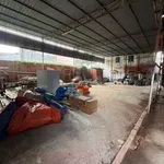 Bán đất mặt tiền 400m² Trần Hưng Đạo Tây Ninh - Ảnh thu nhỏ 4