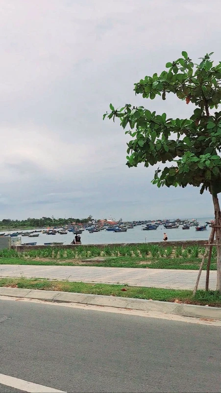 Bán lô đất mặt tiền 90m2 Sơn Trà Đà Nẵng 7 tỷ