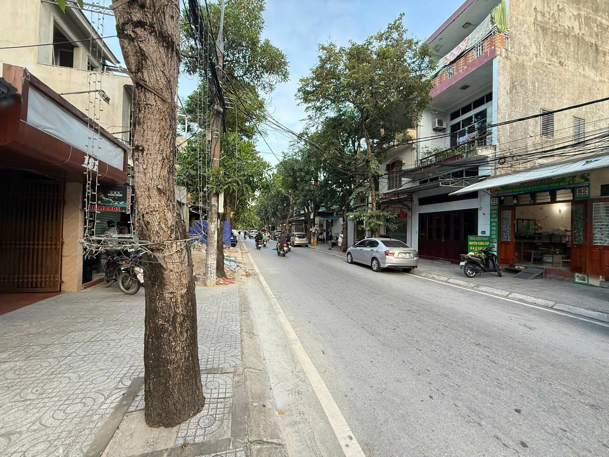 Bán nhà cấp 4 mặt phố Ngư Hải 96m² Quận 12 - Ảnh thu nhỏ 3